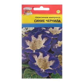 Семена цветов Глоксиния 'Импресс Синие чернила', 3 шт. в амп. Ош