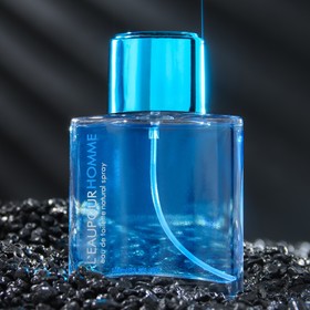 

Туалетная вода мужская L'EAU POUR HOMME, 100 мл