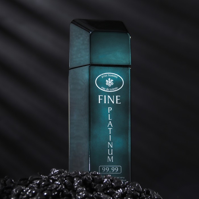

Туалетная вода мужская FINE PLATINUM, 100 мл
