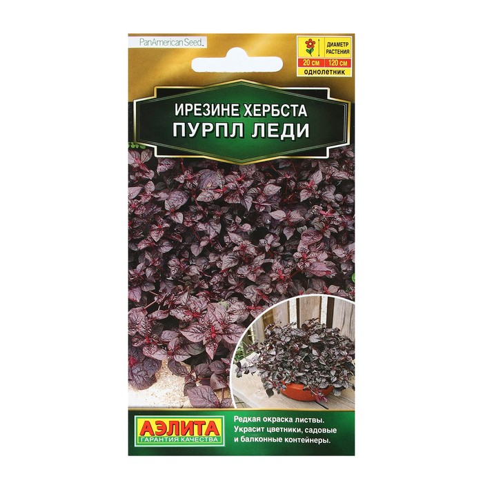 

Семена Цветов Ирезине "Пурпл леди", 5 шт