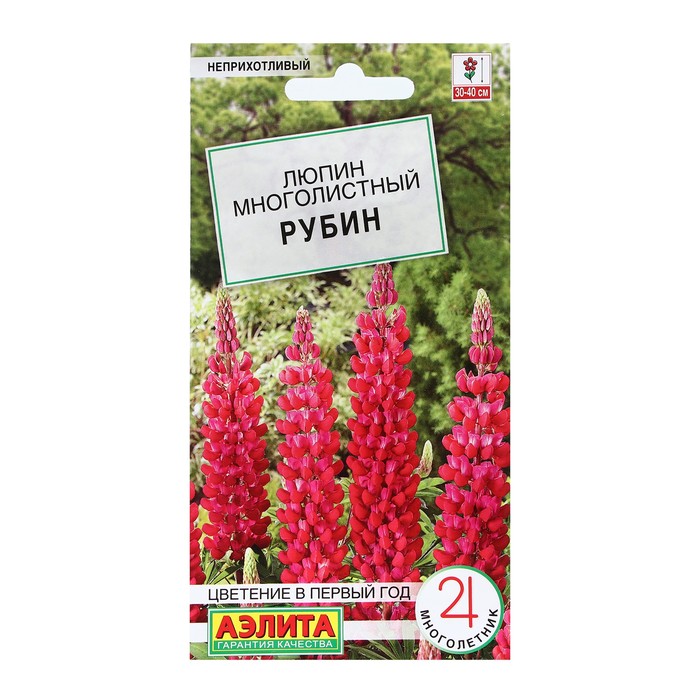 Семена Цветов Люпин Рубин, 7 шт цена и фото
