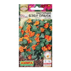 Семена Цветов Настурция Бэби оранж суперкомпактная 4 шт