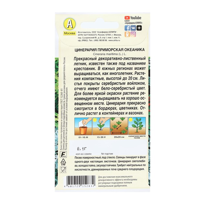 фото Семена цветов цинерария "океаника", 0,1 г агрофирма аэлита