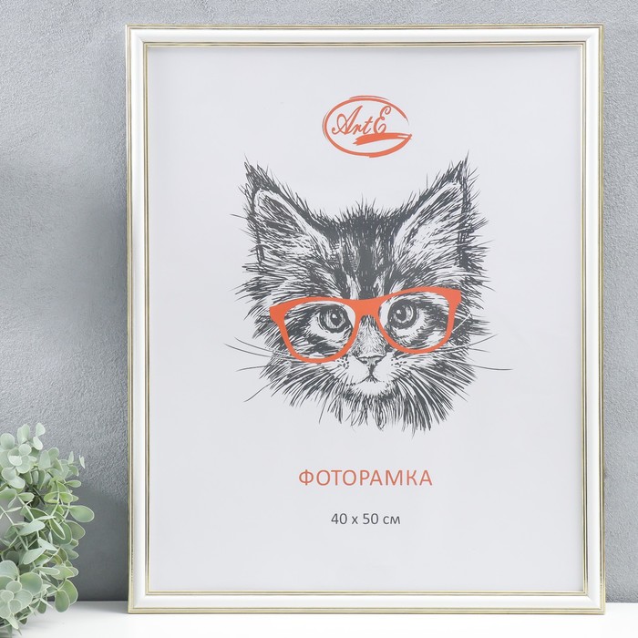 

Фоторамка пластик 40х50 см, (пластиковый экран) 20152-90101-40-50