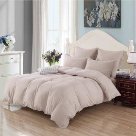 

Постельное бельё 1.5 сп «Асти», размер 160х230 см, 160х220 см, 50х70 см - 2 шт