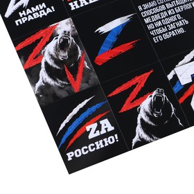 

Наклейки патриотические «Za нами правда», 11 × 15,5 см