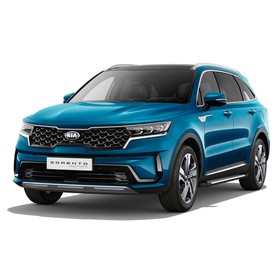 

Пороги на автомобиль "Bmw-Style круг" AutoMax, Hyundai Santa Fe III, Santa Fe Premium, Kia Sorento II рестайлинг, 173 см, 2 шт., AMS.D173S.2304.1