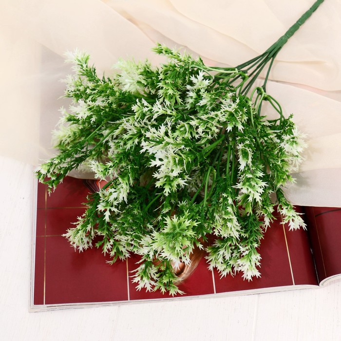 Букет Аспарагус галант 29 см, бело-зелёный