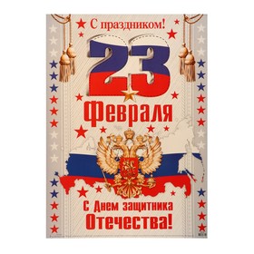 Плакат "С Праздником! 23 Февраля!" герб, флаг, 50,5х69,7 см