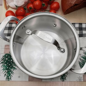 

Кастрюля с крышкой, d=20 см