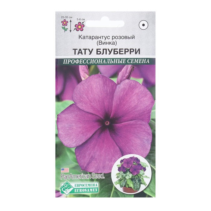 Семена Цветов Катарантус розовый, Винка Тату Блуберри, 5 шт семена цветов катарантус крупноцветковый первоклассница f1 5 шт