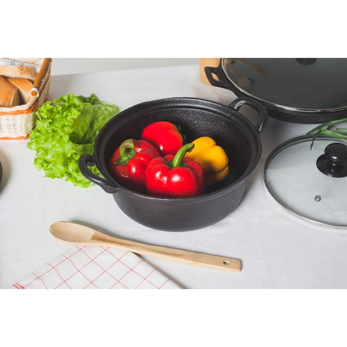 Кастрюля 3 л "Вольга", 25 см, стеклянная крышка