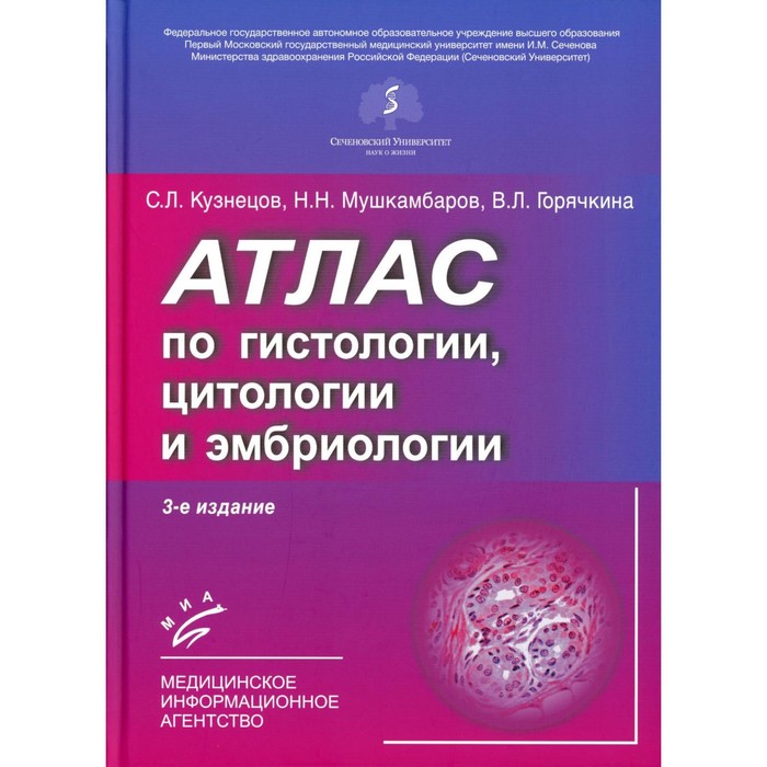 

Атлас по гистологии, цитологии и эмбриологии, 3-е издание, дополненное и переработанное. Горячкина В.Л., Кузнецов С.Л., Мушкамбаров Н.Н.