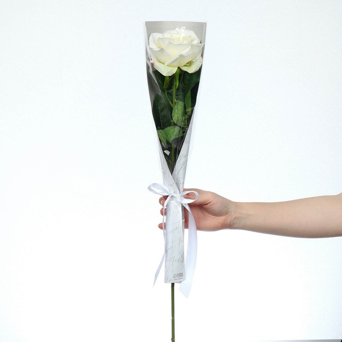 Пакет для цветов с вкладышем «Present for you», паттерн