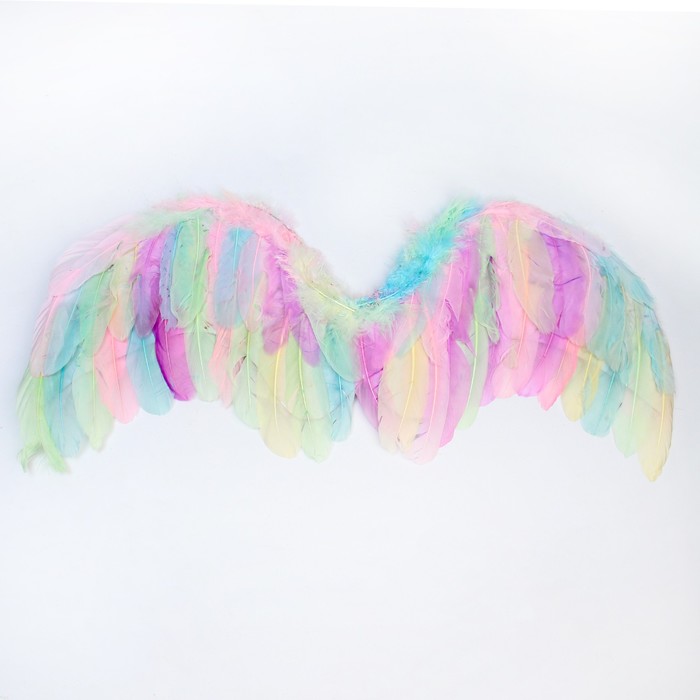 Крылья ангела 77×55 см брошь крылья ангела