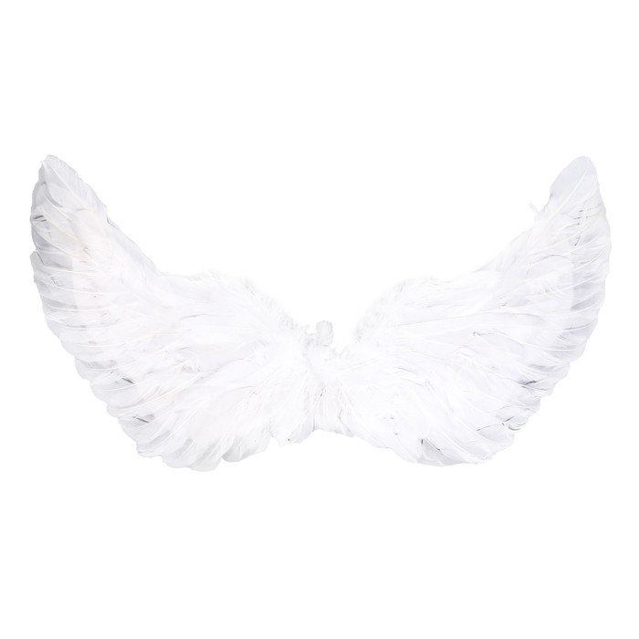 Карнавальные крылья 30 × 60, цвета МИКС