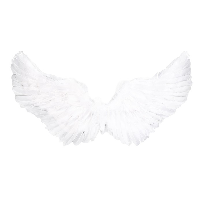 Карнавальные крылья 35 × 80, цвета МИКС
