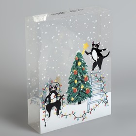 

Коробка PVC «Кошка», 19,3 х 26,2 х 5,6 см