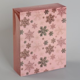 

Коробка PVC «Снегопад», 16,5 х 21,6 х 6,1 см