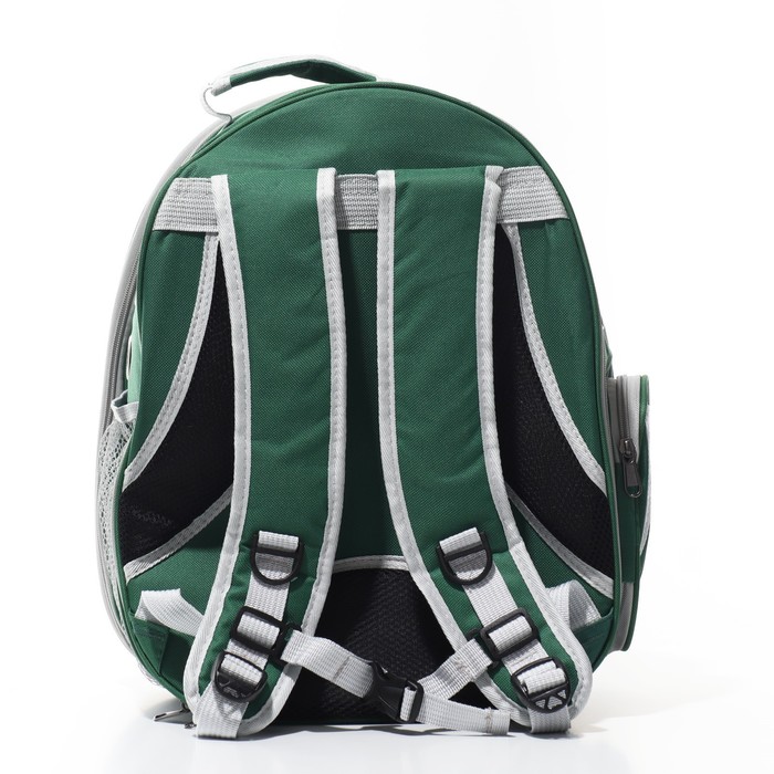 Прозрачный раскладывающийся рюкзак для животных, 33*28*42 см, зеленый