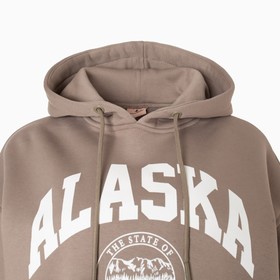 

Толстовка женская НАЧЁС, цвет коричневый, размер ONE SIZE (42-46)