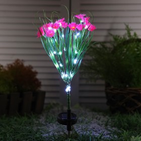 Садовый светильник на солнечной батарее «Маргаритки», 70 см, 42 LED, свечение белое