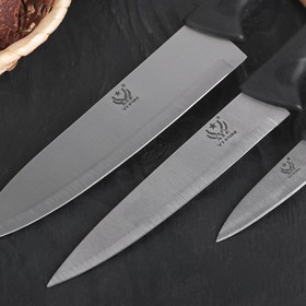 

Набор кухонных ножей «Энеолит», 3 предмета: лезвие 8,5 см, 15 см, 17 см, цвет чёрный