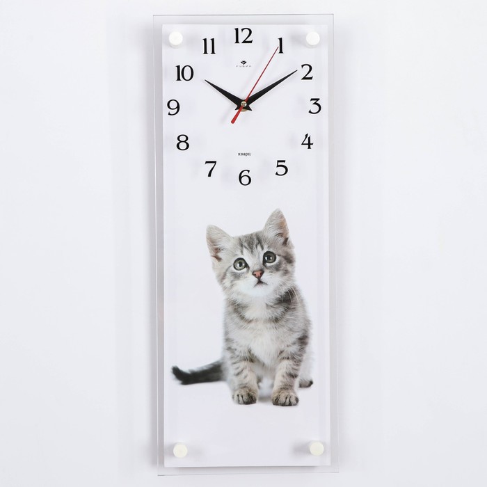 Часы-картина настенные, серия: Интерьер, Все любят котиков, 20 х 50 см