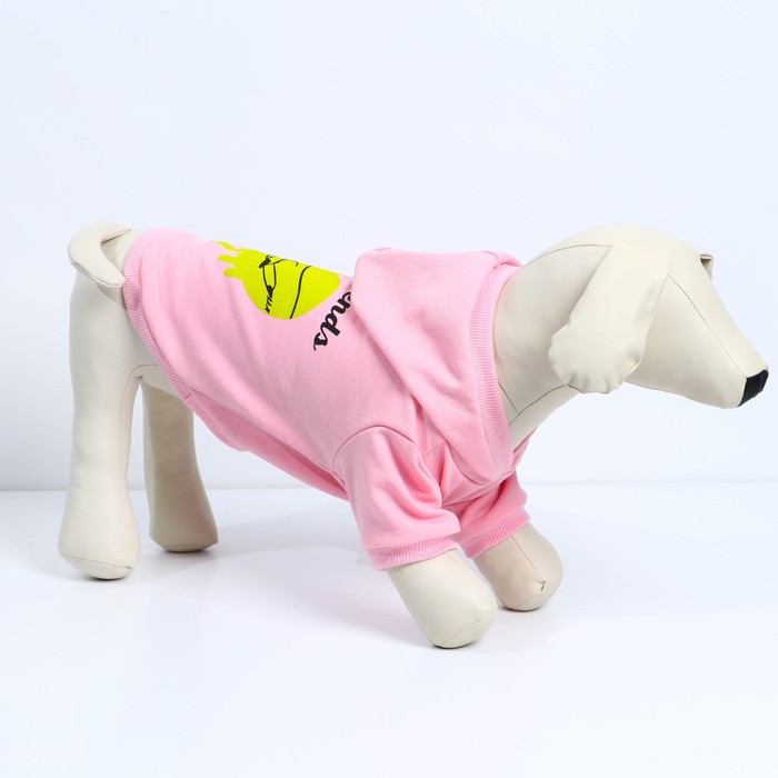 фото Толстовка best friends для собак (футер), размер xs (дс 18, ош 28-30, ог 38-40), розовая пушистое счастье