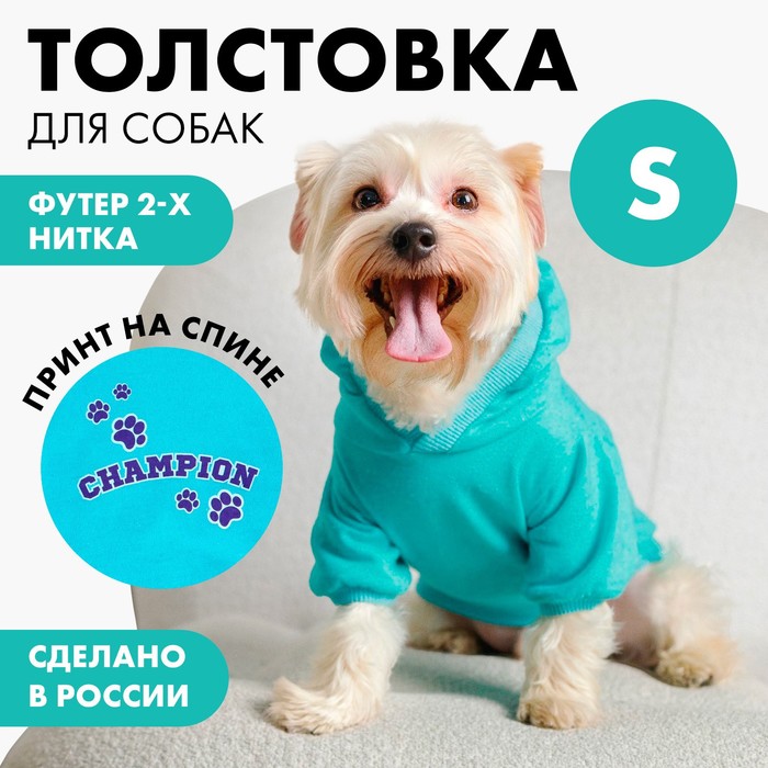 Толстовка Champion для собак (футер), размер S (ДС 25, ОШ 26-27, ОГ 36-40), голубая