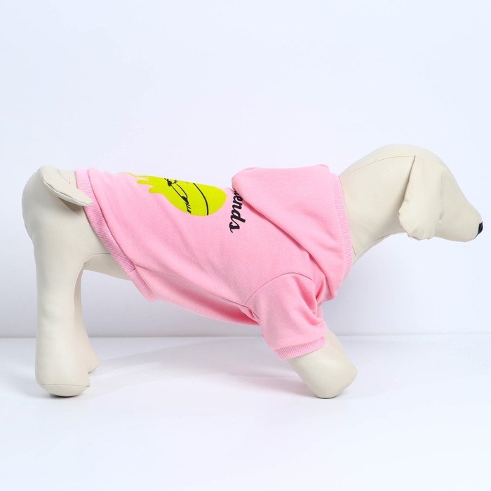 Толстовка Best Friends для собак (футер), размер S (ДС 23, ОШ 32-34, ОГ 40-44), розовая