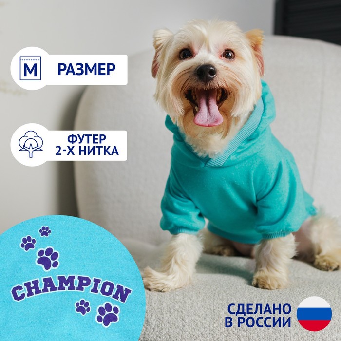 фото Толстовка champion для собак (футер), размер m (дс 30, ош 29-30, ог 40-44), голубая пушистое счастье