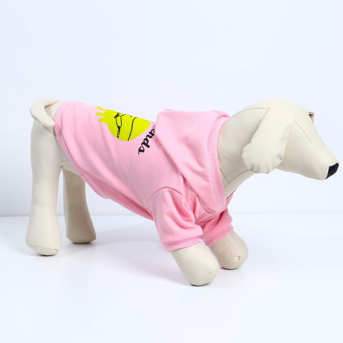 Толстовка Best Friends для собак (футер), размер M (ДС 30, ОШ 29-30, ОГ 40-44), розовая