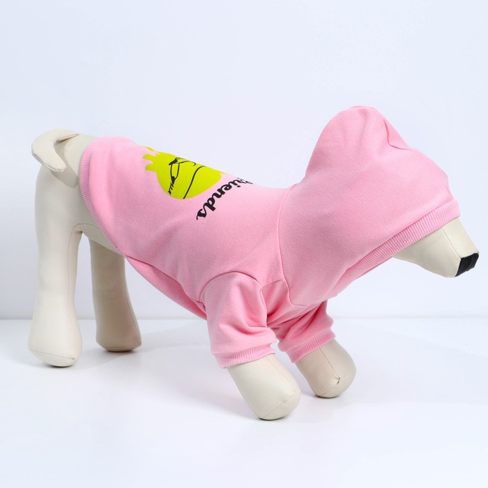 фото Толстовка best friends для собак (футер), размер m (дс 26, ош 36-38, ог 46-50), розовая пушистое счастье