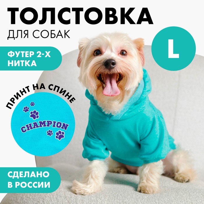 Толстовка Champion для собак (футер), размер L (ДС 35, ОШ 32-33, ОГ 44-48), голубая