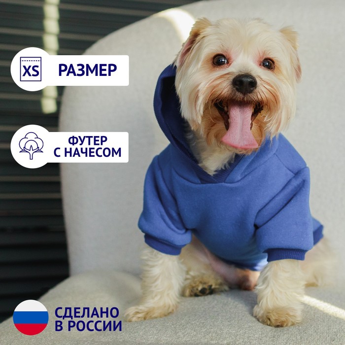 фото Толстовка однотонная для собак (футер с начесом), размер xs (дс 20, ош 24-25, ог 32-36), синяя пушистое счастье