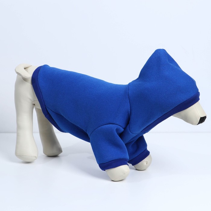 фото Толстовка однотонная для собак (футер с начесом), размер s (дс 24, ош 33-37, ог 42-44), синяя пушистое счастье