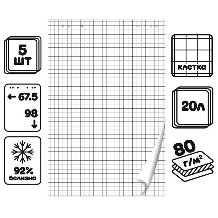 Набор 5шт блокнотов д/флипчарта 20л 67,5*98см клетка, 92%, 80г/м2, Calligrata