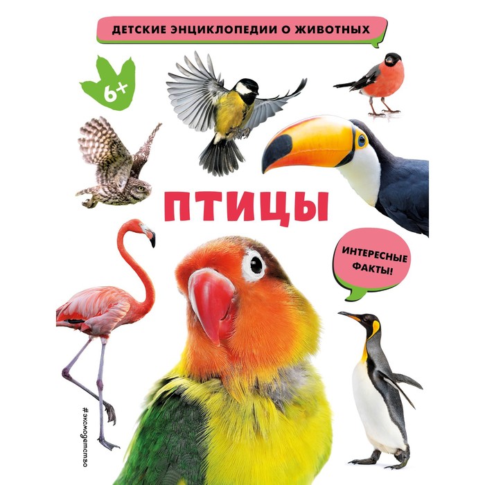 

Птицы