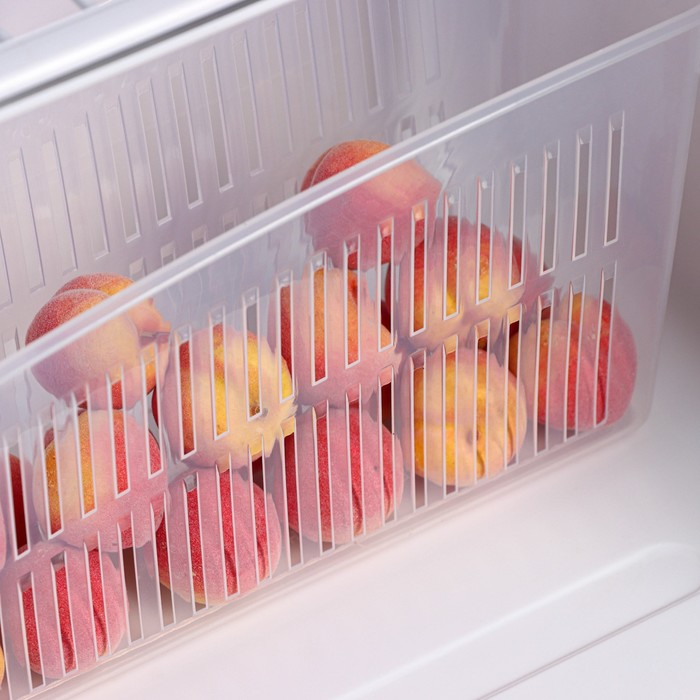 Контейнер для холодильника 24,5х9,5х14см, цвет прозрачный