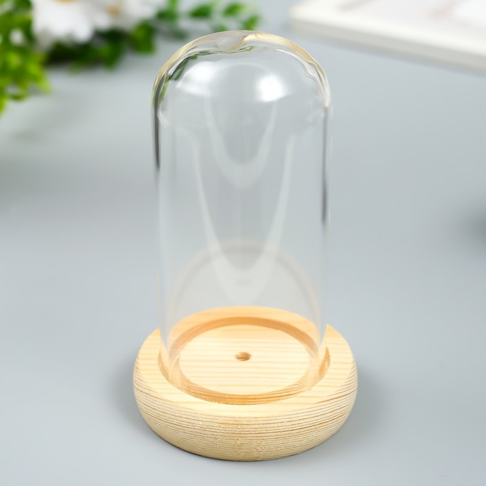 

Клош стеклянный мини 11,3х6,4х6,4 см