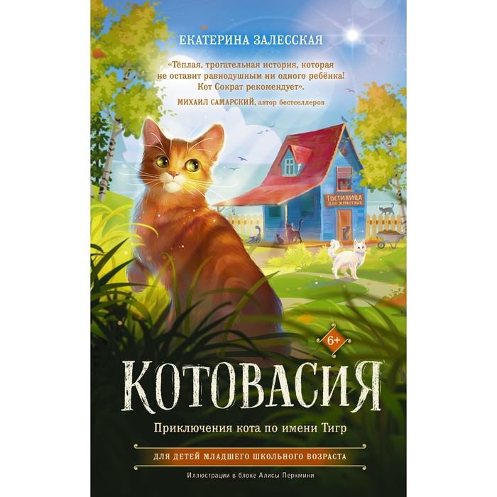 

Котовасия. Приключения кота по имени Тигр. Залесская Е.В.