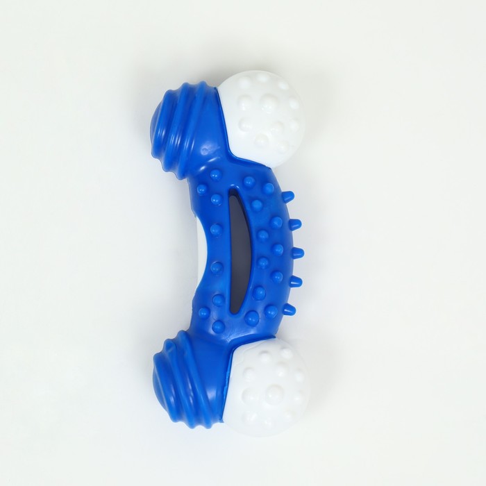 Игрушка двухслойная (твердый и мягкий пластик) "Изогнутая кость", 13 см синяя