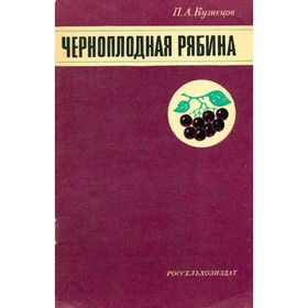 

Черноплодная рябина. Кузнецов П. А.