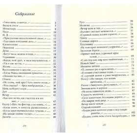 

Светлая радость. Никитин И.