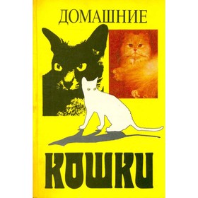 

Домашние кошки