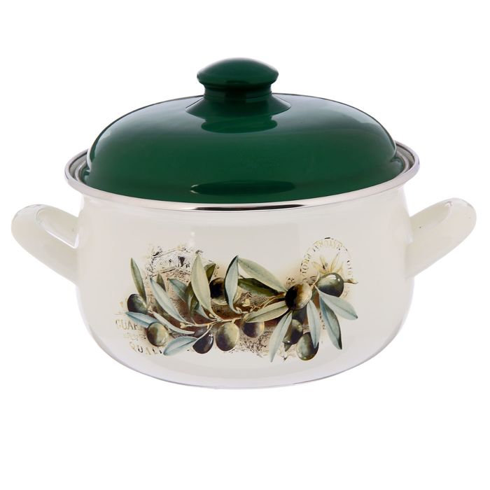 Кастрюля эмалированная 3,1 л "Маслины", крышка
