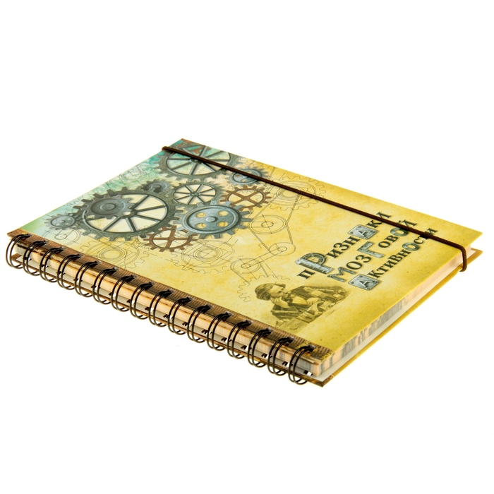 Подарочный набор "Признаки мозговой активности": ежедневник в твёрдой обложке, 96 листов и ручка