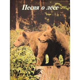 

Песня о лесе. Валек М., Влах И. и З.