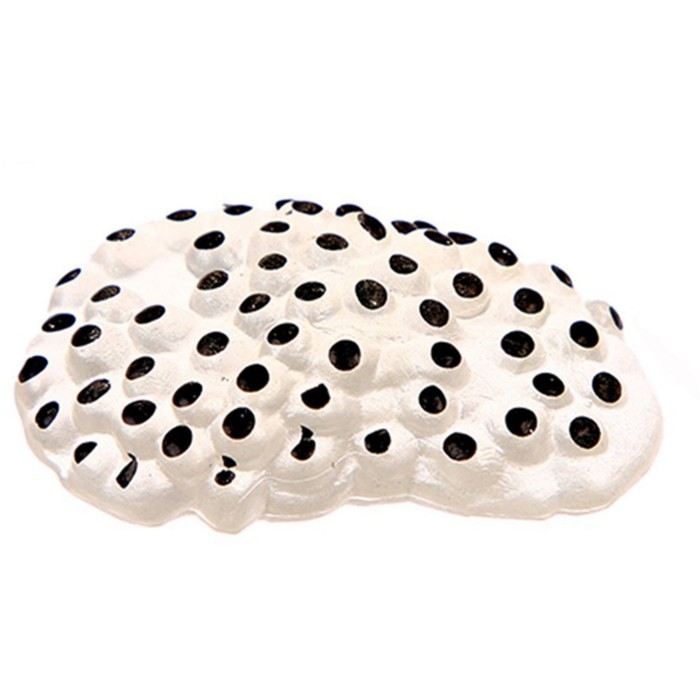 фото Обучающий набор «этапы развития лягушки» 5 фигурок